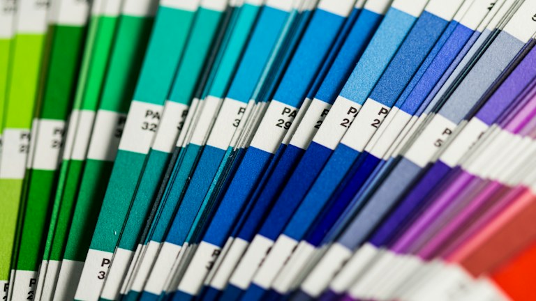Build a Room Color Palette from the Things You Already Own