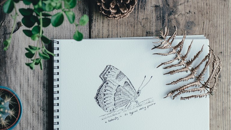 Start Drawing Everyday Objects with a Pencil and a Small Sketchbook