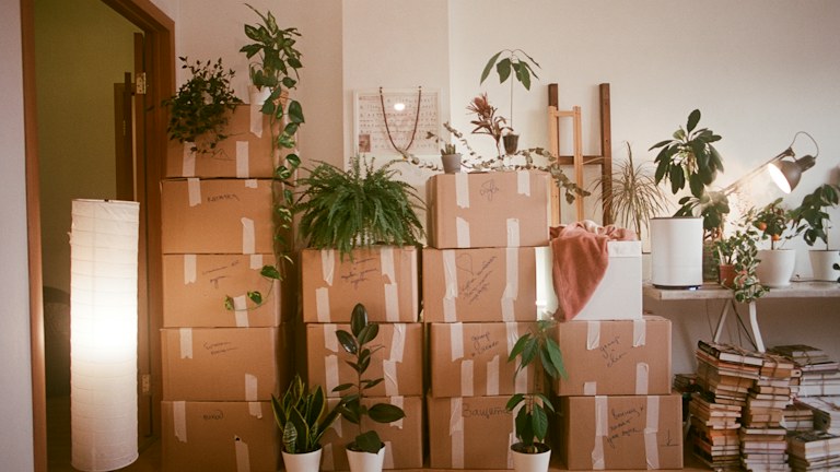 Plan Moving Week Around What You Will Need First